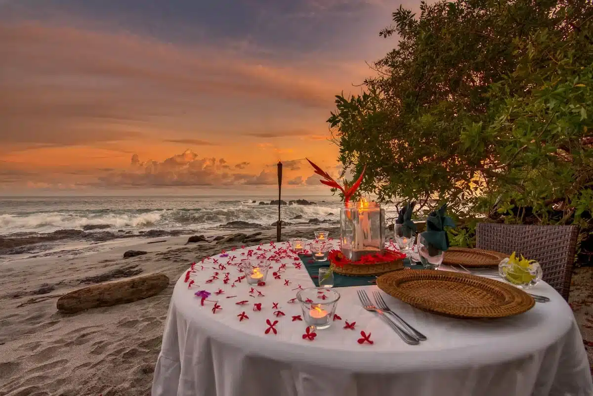 Traveling From New York? Hire A Private Chef In Turks And Caicos Traveling From New York? Hire A Private Chef In Turks And Caicos